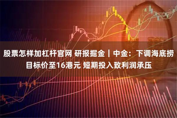 股票怎样加杠杆官网 研报掘金｜中金：下调海底捞目标价至16港元 短期投入致利润承压