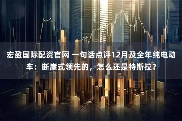 宏盈国际配资官网 一句话点评12月及全年纯电动车：断崖式领先的，怎么还是特斯拉？