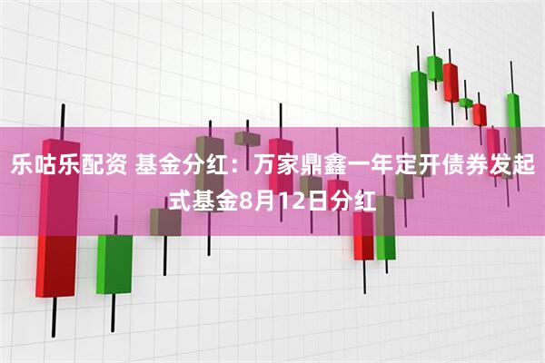 乐咕乐配资 基金分红:万家鼎鑫一年定开债券发起式基金8月12日分红